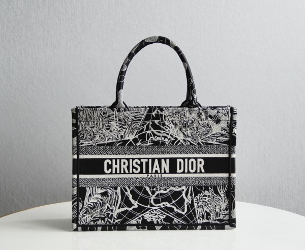 Dior Book Tote bag in embroidered canvas BF2171304