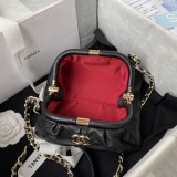 Chanel 2 colors Original mini shoulder bag DJ2181316