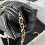 Chanel 2 colors Original mini shoulder bag DJ2181316