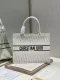 Dior Book Tote bag in embroidered leathor EY211008