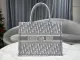 Dior Book Tote bag in embroidered leatho EY21110202