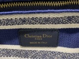 Dior Original Lady D-lite with embroidery EY21110209