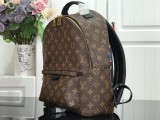 Louiis Vuittonn palm springs monogram PM backpack MX21112106