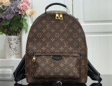 Louiis Vuittonn palm springs monogram PM backpack MX21112106