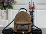 Louiis Vuittonn palm springs monogram PM backpack MX21112107