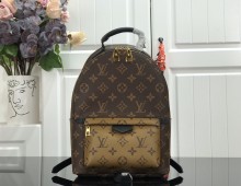 Louiis Vuittonn palm springs monogram PM backpack MX21112107