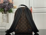 Louiis Vuittonn palm springs monogram PM backpack MX21112107