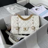 Chanel 2 colors original shoulder bag DJ21122710