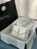 Chanel 2 colors original shoulder bag DJ21122704