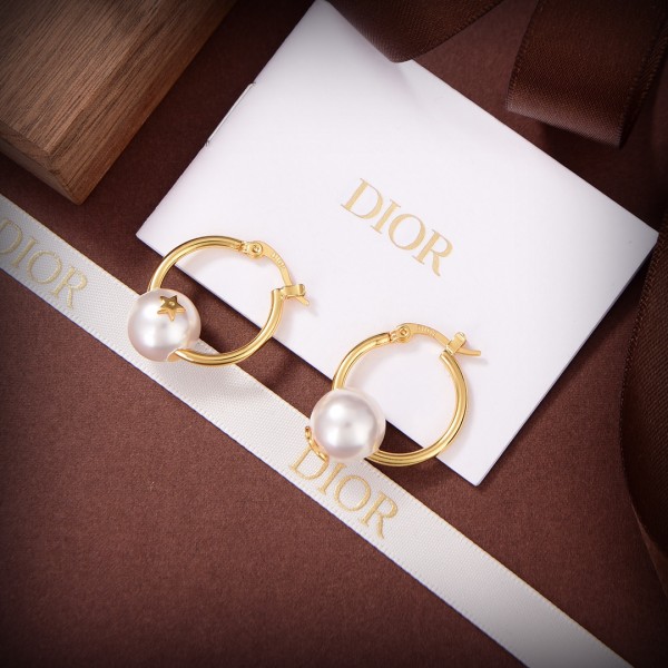 Dior 1:1 jewelry earring YY22033003