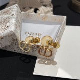 Dior 1:1 jewelry earring YY22033022