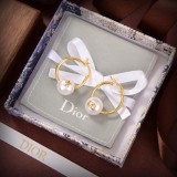 Dior 1:1 jewelry earring YY22033003