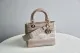 Dior Original Lady D-lite with embroidery DMZ22040901