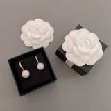 Chanel 1:1 jewelry earring YY2262618