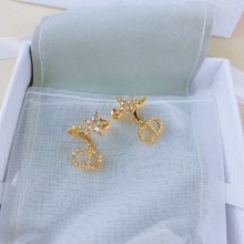 Dior 1:1 jewelry earring YY2262619