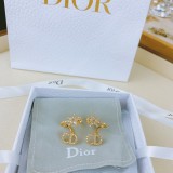 Dior 1:1 jewelry earring YY2262619