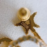 Dior 1:1 jewelry earring YY2262619