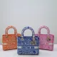 Dior Original Lady D-lite with embroidery DMZ22090904