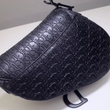 Dior saddle calfskin shoulder bag DMZ22090903