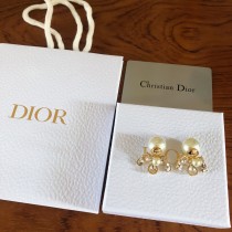 Dior 1:1 jewelry earring YY22102808