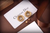 Dior 1:1 jewelry earring YY22102817