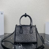 Prada Original Spectrum shoulder bag XM22111507