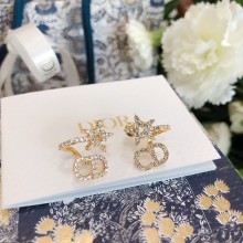 Dior 1:1 jewelry earring YY23022817