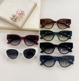 D*G Sunglass shangmei 23053113