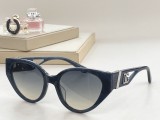 D*G Sunglass shangmei 23053113