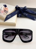 D*IOR Sunglass shangmei 23053103