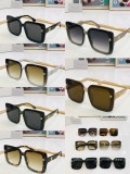 C*elinee Sunglass shangmei 23061603