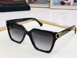 V*alentino  Sunglass shangmei 23061610