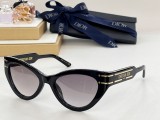 D*IORR  Sunglass shangmei 23071302