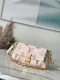 Louis vuitton Multi Pochette Accessoires bag YT23071404
