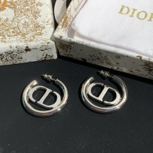 Dior 1:1 jewelry earring yy23072413