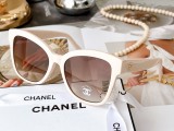 C *HANEL Sunglass shangmei 23083011