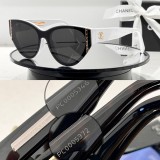 C *HANEL Sunglass shangmei 23083010