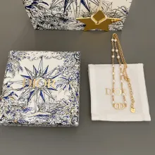 Dior 1:1 jewelry necklace YY23091208