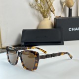 C *HANEL Sunglass shangmei 23102511