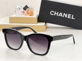 C *HANEL Sunglass shangmei 23102503