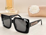 C *HANEL Sunglass shangmei 23102510