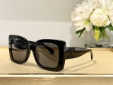 C *HANEL Sunglass shangmei 23102512