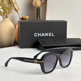 C *HANEL Sunglass shangmei 23102505