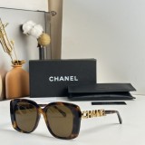 C *HANEL Sunglass shangmei 23102509