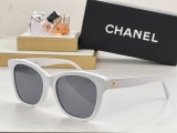 C *HANEL Sunglass shangmei 23102503