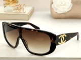 C *HANEL Sunglass shangmei 23102502