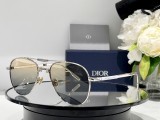 D*IORR Sunglass shangmei 23110127