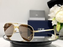 D*IORR Sunglass shangmei 23110127