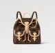 Louis vuitton monogram M46932 Small EXCURSION backpack 23110804