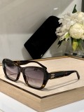 C *HANEL Sunglass shangmei 23120609